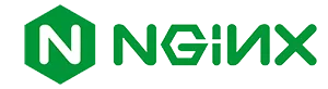NGİNX Nədir