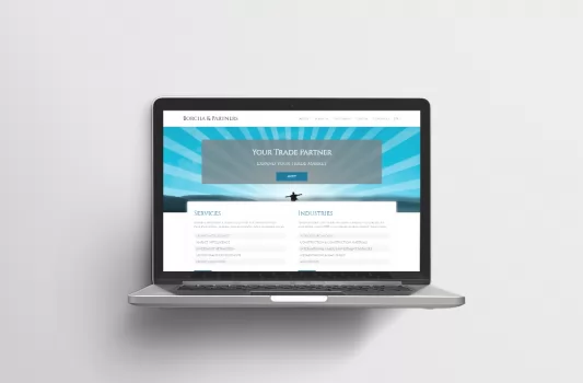 BorchaPartners.com
